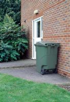 Concealing a wheelie bin with trellis and shrub