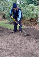 Sowing a new lawn - Rake lightly to partially cover the seed