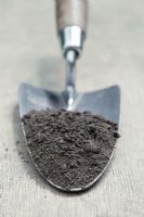 Loam soil sample on vintage garden trowel