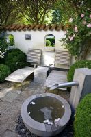 Mediterranean style garden courtyard, with clipped Buxus sempervirens and Buxus microphylla 'Faulkner' , Rosa 'Celeste', water feature and teak sun loungers