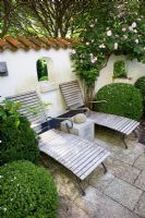 Mediterranean style garden courtyard, with clipped Buxus sempervirens and Buxus microphylla 'Faulkner' , Rosa 'Celeste' and teak sun loungers