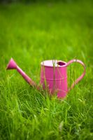 Pink watering can on lawn