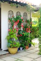 Decorative Moroccan style ironwork screens used to hang wall pots with ivy leaved Pelargoniums - Geraniums. Pieris and Ginger in glazed pots