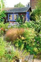 Timber path with Stipa arundinacea, Agapanthus, Alchemilla mollis, Rosmarinus - Rosemary. Garden shed painted dark brown with window and doors picked out in blue.
