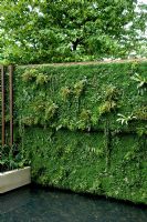 Living wall and pond. The Tourism Malaysia Garden, Gold medal winner, RHS Chelsea Flower Show 2010 