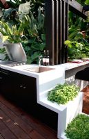 Built in barbecue and entertaining area in tropical garden. Herbs in raised planters. Trailfinders Australian Garden, Gold medal winner, RHS Chelsea Flower Show 2010 