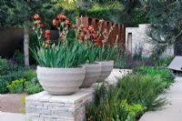 Iris 'Action Front' in stone tubs placed on dry stone wall - The Daily Telegraph Garden, Best in Show, Gold medal winner, Chelsea Flower Show 2010