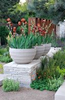 Iris 'Action Front' in stone tubs placed on dry stone wall - The Daily Telegraph Garden, Best in Show, Gold medal winner, Chelsea Flower Show 2010
