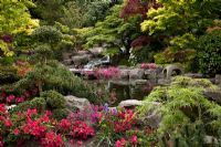 Garden view with Azaleas and waterfall