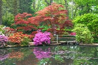 Azalea bowl and lake with Rhododendron and Acers. Exbury Gardens, Hampshire, May
