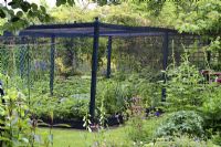 Enclosed vegetable garden with wooden cage and netting, June
