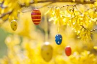 Painted wooden Easter egg decorations hanging from Forsythia