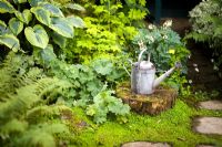 Vintage watering can on a tree stump in a shady garden with ferns, Heuchera, Hosta and Soleirolia soleirolii 