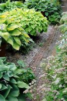 Cobbled garden path lined with pot grown Hostas, Norfolk, UK, July
