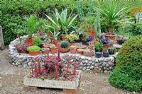 Raised bed with display of succulents and drought tolerant plants, with Sempervivum planter in foreground. Norfolk, UK, July