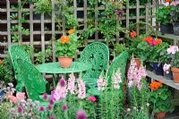 Summer seating area with garden furniture, potted Pelargonium - Geraniums, Antirrhinums and Alliums. Norfolk, UK, July