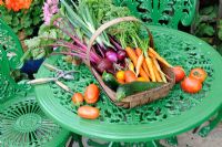 Summer Vegetable Harvest. Wooden trug on patio table with Beetroot, Carrots, Tomatoes, Courgettes and Onions. Norfolk, UK, July