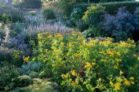 Herbaceous borders of Tanacetum vulgare, Veronicastrum,  Helenium 'Moerheim Beauty', Achillea 'Mondpagode', Fennel, and Digitalis. Parham, Sussex
 