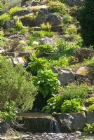 Stream flowing down rock garden at St Andrews Botanic Garden, Scotland