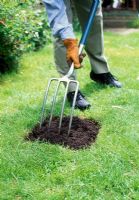 Dig out infected areas of lawn and repair with new turf