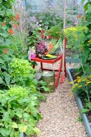 Summer vegetable harvest, view of small potager garden with wire trug on wooden chair containing potatoes, beetroot, carrots, courgettes, French beans, tomatoes and onions
