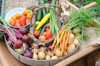 Harvest of summer vegetables in antique sieve and traditional wooden wheelbarrow