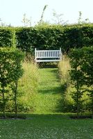Carpinus betulus - Young hornbeam hedge,  mown grass path through meadow, leading to white bench at Heveningham, Suffolk
