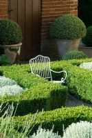 Buxus sempervirens - Box ball in a terracotta pot by formal knot garden with Santolina and child's chair at Heveningham, Suffolk