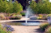 Fountain in perennial meadow with view to Katsura Grove in The Walled Garden at Scampston Hall, Yorkshire