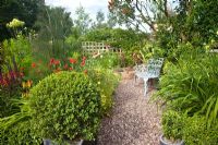 A plant lovers cottage garden with gravel area and herbaceous perennials, box hedging, mature shrubs and trees - Coley Cottage, Little Haywood, Staffordshire, NGS