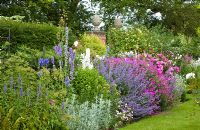 Herbaceous borders at Wilkins Pleck, Newcastle-under-Lyme, Staffordshire, NGS