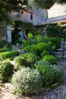 Clipped shrubs and Euphorbia in gravel courtyard - La Louve Garden, Provence, France