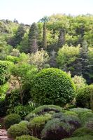 Sloping garden full of clipped shrubs - La Louve Garden, Provence, France