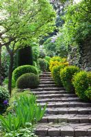 Stone steps - La Louve garden, Provence, France
