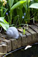 Bronze snail ornament at the edge of a pond