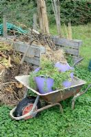 Allotment compost bins with wheelbarrow and trug of weeds, September