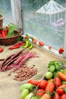 Greenhouse bench in early Autumn with borlotti beans and last of the greenhouse tomatoes and chillies ripening on hessian sacking, September