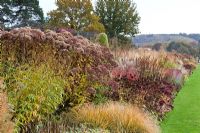 Border of grasses and seedheads of perennials designed by Piet Oudolf at Trentham Gardens, Staffordshire, October 