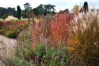 Grasses and perennials with seedheads in the Italian Garden, planting including Miscanthus sinensis, Lythrum virgatum, Salvia, Persicaria amplexicaulis 'Taurus' and Cynara cardunculus - at Trentham Gardens, Staffordshire, October