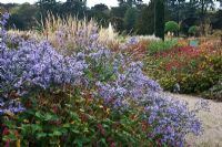 Perennials and grasses in the Italian Garden, planting includes Aster and Persicaria amplexicaulis 'Taurus' - Trentham Gardens, Staffordshire, October 