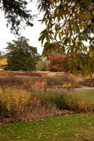 New area of perennials and grasses, designed by Piet Oudolf - Trentham Gardens, Staffordshire, October