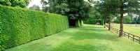 A grass avenue with Taxus - Yew hedges leading to a seat at Farleigh House, Hampshire