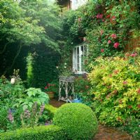 Informal cottage garden 