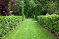 Allee with Carpinus betulus - Hornbeam hedges and four Hornbeam pillars leads to Hornbeam arbour with seating. High Canfold Farm, Surrey 