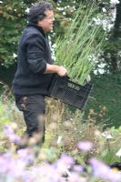 Owner Frans Geysels carrying a crate of plants. Nursery and garden in The Netherlands.