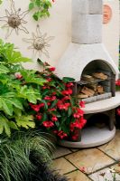Outdoor oven on a patio surrounded by exotic foliage and flowers including Fatsia japonica and Begonia x hybrida 'Dragon Wing'