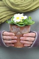 Woman holding a potted Primrose