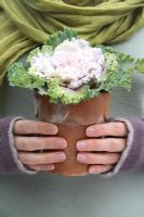 Woman holding a potted ornamental cabbage 