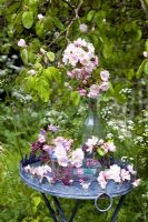 Malus and Myosotis - Apple blossom and Forget me Nots displayed on garden table