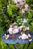 Malus and Myosotis - Apple blossom and Forget me Nots displayed on garden table
